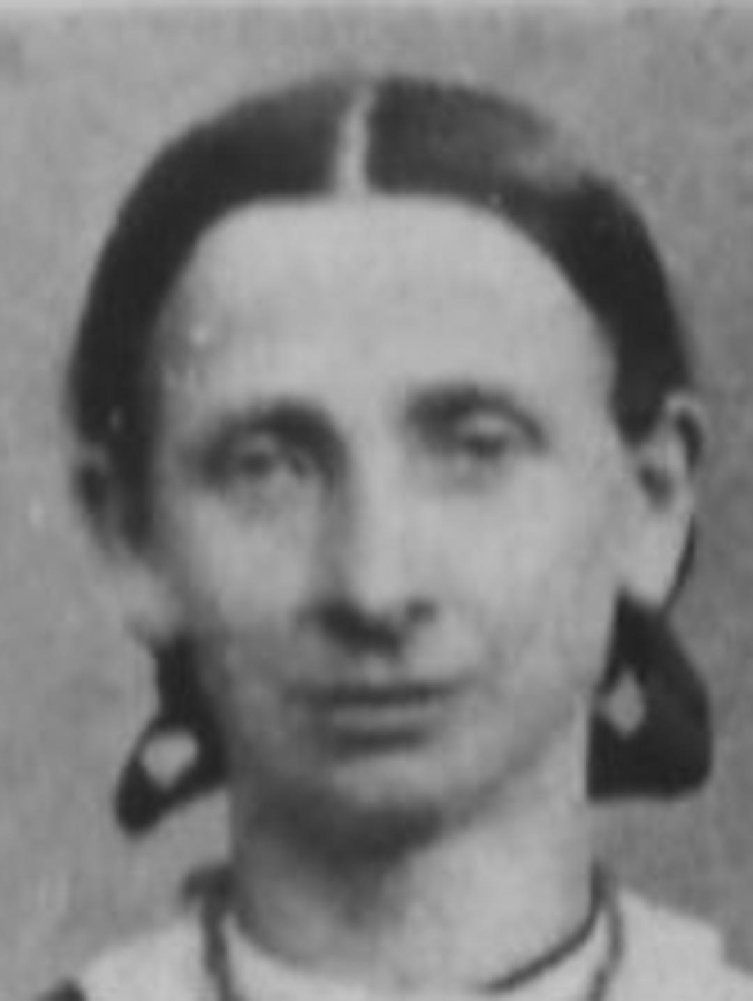 Elizabeth Bayliss (1829 - 1900) Profile